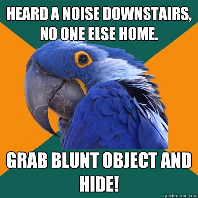 heard a noise downstairs, no one else home. grab blunt object and hide!  Paranoid Parrot