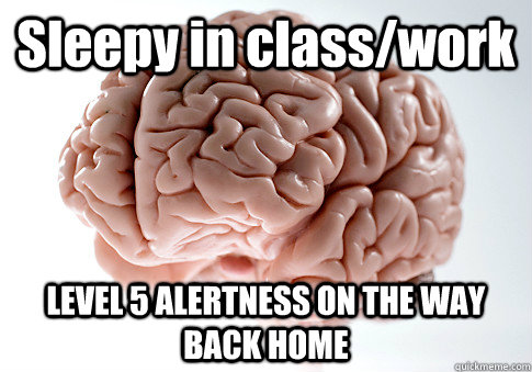 Sleepy in class/work LEVEL 5 ALERTNESS ON THE WAY BACK HOME  Scumbag Brain