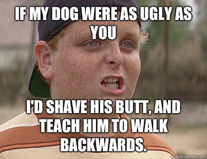 If my dog were as ugly as you I'd shave his butt, and teach him to walk backwards. - If my dog were as ugly as you I'd shave his butt, and teach him to walk backwards.  Sandlot