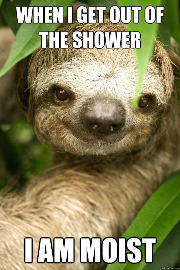 when i get out of the shower  i am moist - when i get out of the shower  i am moist  Sloppy Sloth