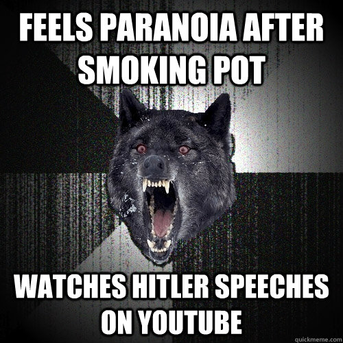 Feels paranoia after smoking pot Watches Hitler speeches on youtube  Insanity Wolf