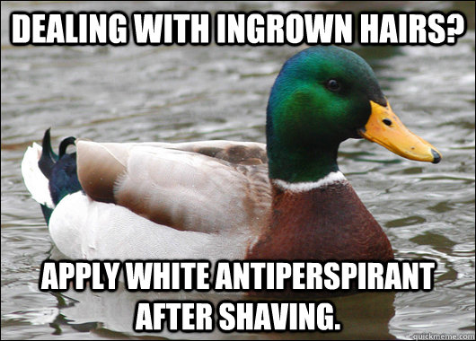 Dealing with ingrown hairs? Apply white antiperspirant after shaving.  Actual Advice Mallard