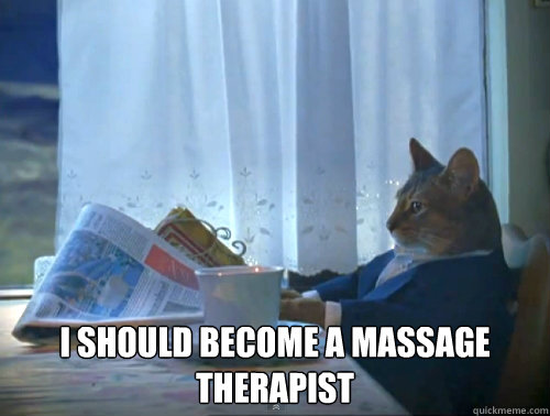  i should become a massage therapist  The One Percent Cat