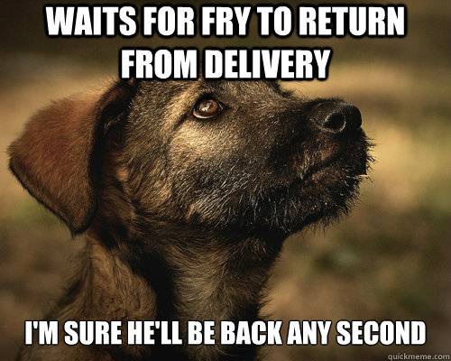 Waits for Fry to return from delivery I'm sure he'll be back any second - Waits for Fry to return from delivery I'm sure he'll be back any second  Hopelessly Optimistic Dog