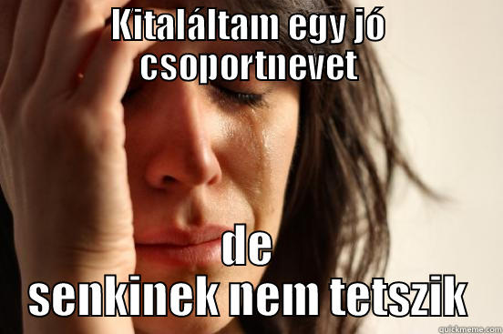 KITALÁLTAM EGY JÓ CSOPORTNEVET DE SENKINEK NEM TETSZIK First World Problems