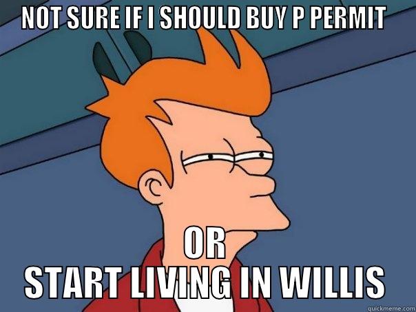 NOT SURE IF I SHOULD BUY P PERMIT  OR START LIVING IN WILLIS Futurama Fry