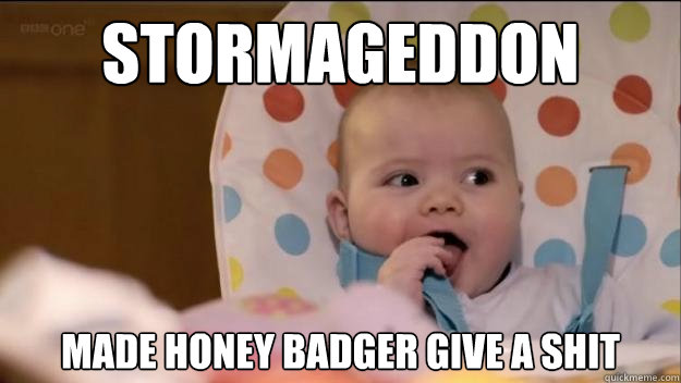 Stormageddon made honey badger give a shit  Stormageddon- Dark Lord of All