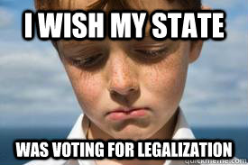 I wish my state was voting for legalization - I wish my state was voting for legalization  Disappointed Dan