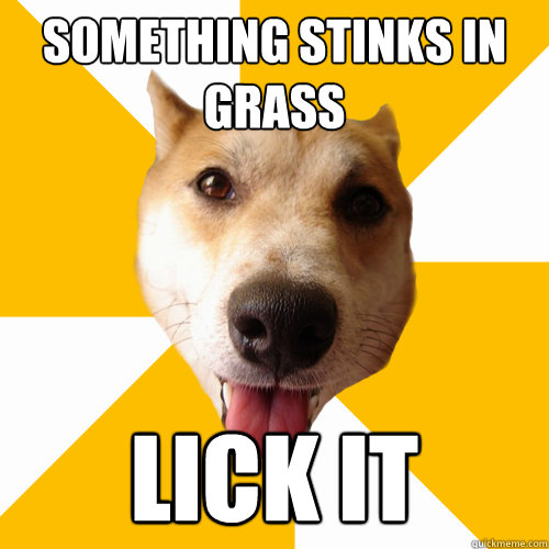 SOMETHING STINKS IN GRASS LICK IT  