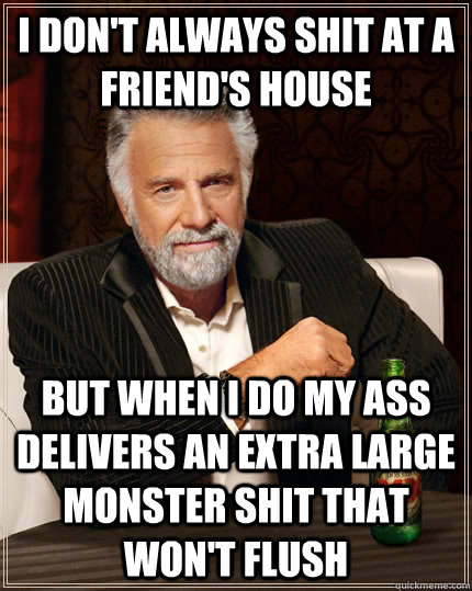 I don't always shit at a friend's house but when I do my ass delivers an extra large monster shit that won't flush  The Most Interesting Man In The World