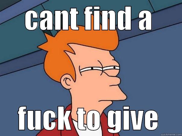 CANT FIND A FUCK TO GIVE Futurama Fry
