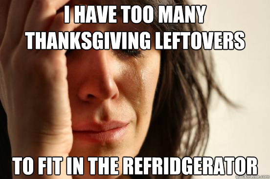 I have too many Thanksgiving leftovers To fit in the refridgerator  First World Problems