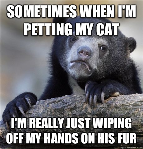 Sometimes when I'm petting my cat I'm really just wiping off my hands on his fur - Sometimes when I'm petting my cat I'm really just wiping off my hands on his fur  Confession Bear