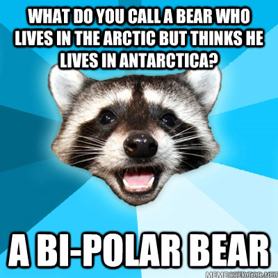 What do you call a bear who lives in the arctic but thinks he lives in antarctica? a bi-polar bear   Lame Pun Raccoon