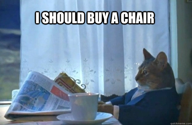 I should buy a chair  Sophisticated Cat