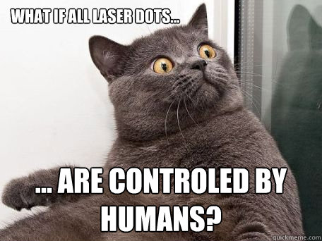 what if all laser dots... ... are controled by humans? - what if all laser dots... ... are controled by humans?  conspiracy cat