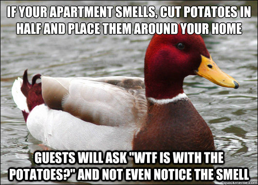 if your apartment smells, cut potatoes in half and place them around your home 
 guests will ask 