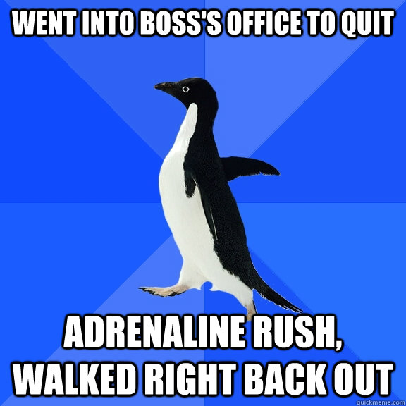 Went into boss's office to quit adrenaline rush, walked right back out   Socially Awkward Penguin
