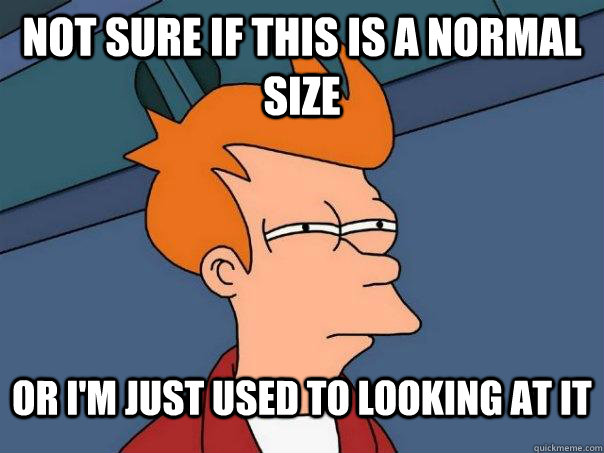 Not sure if this is a normal size Or I'm just used to looking at it  Futurama Fry