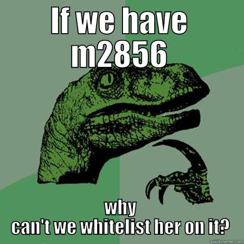 Ad-Hoc meme - IF WE HAVE M2856 WHY CAN'T WE WHITELIST HER ON IT? Philosoraptor