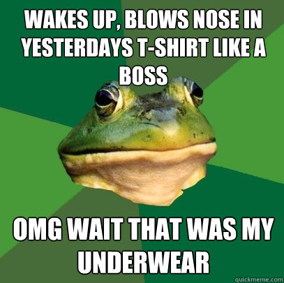 wakes up, blows nose in yesterdays t-shirt like a boss omg wait that was my underwear  Foul Bachelor Frog