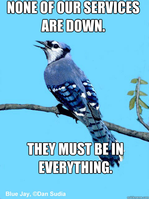 None of our services are down. They must be in EVERYthing. - None of our services are down. They must be in EVERYthing.  Blue Team Bird