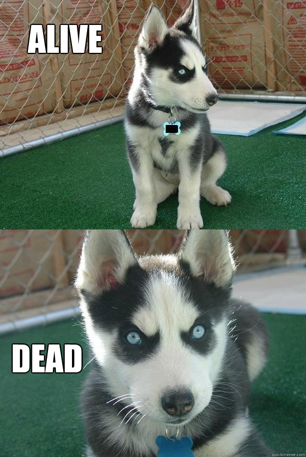 Alive Dead  Insanity puppy