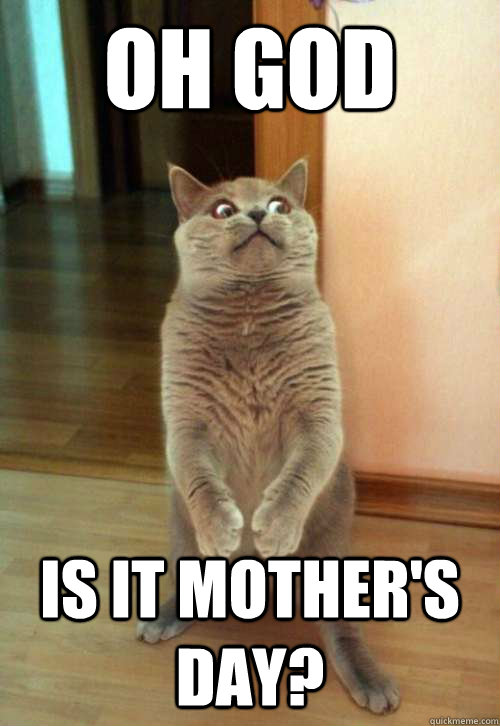 Oh God IS IT MOTHER'S DAY? - Oh God IS IT MOTHER'S DAY?  Horrorcat