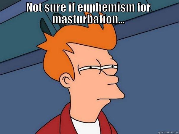 NOT SURE IF EUPHEMISM FOR MASTURBATION...  Futurama Fry