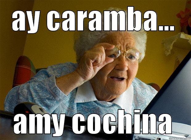 AY CARAMBA... AMY COCHINA Grandma finds the Internet