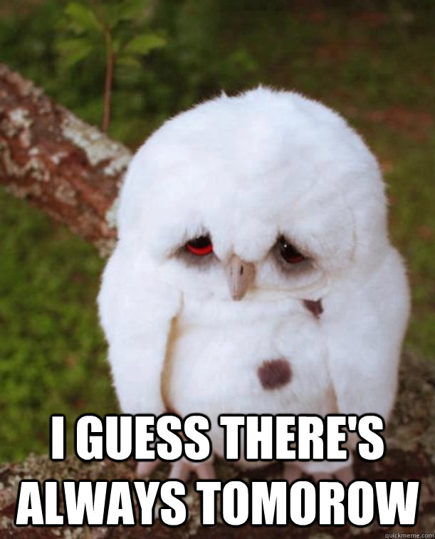  I guess there's always tomorow  Sad Owl