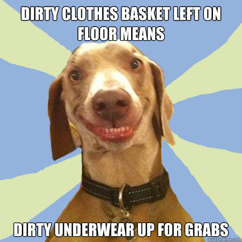dirty clothes basket left on floor means dirty underwear up for grabs - dirty clothes basket left on floor means dirty underwear up for grabs  Disgusting Doggy
