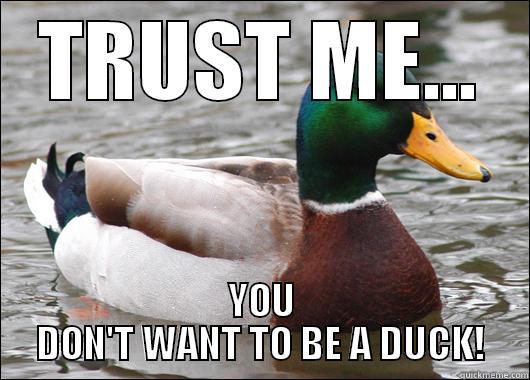TRUST ME... YOU DON'T WANT TO BE A DUCK! Actual Advice Mallard
