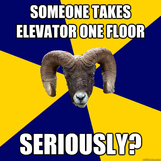 Someone takes elevator one floor seriously? - Someone takes elevator one floor seriously?  Suffolk Kid Ram
