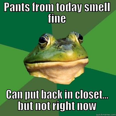 PANTS FROM TODAY SMELL FINE CAN PUT BACK IN CLOSET... BUT NOT RIGHT NOW Foul Bachelor Frog