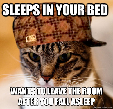 Sleeps in your bed wants to leave the room after you fall asleep  Scumbag Cat