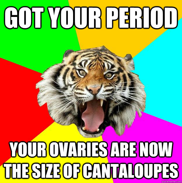 got your period your ovaries are now the size of cantaloupes  Time of the Month Tiger