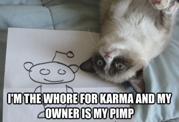  I'm the whore for Karma and my owner is my pimp -  I'm the whore for Karma and my owner is my pimp  Sudden Clarity Grumpy Cat