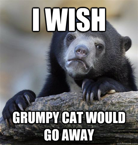 i wish grumpy cat would go away  Confession Bear