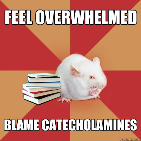 feel overwhelmed blame catecholamines - feel overwhelmed blame catecholamines  Science Major Mouse