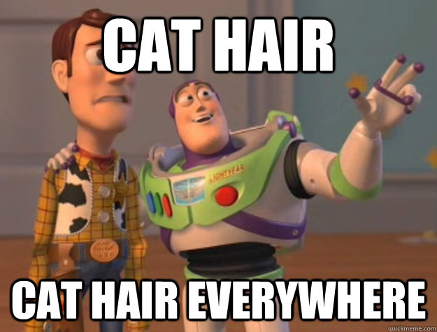 Cat hair Cat hair everywhere - Cat hair Cat hair everywhere  Buzz Lightyear