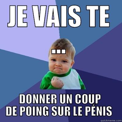 JE VAIS TE ... DONNER UN COUP DE POING SUR LE PÉNIS  Success Kid