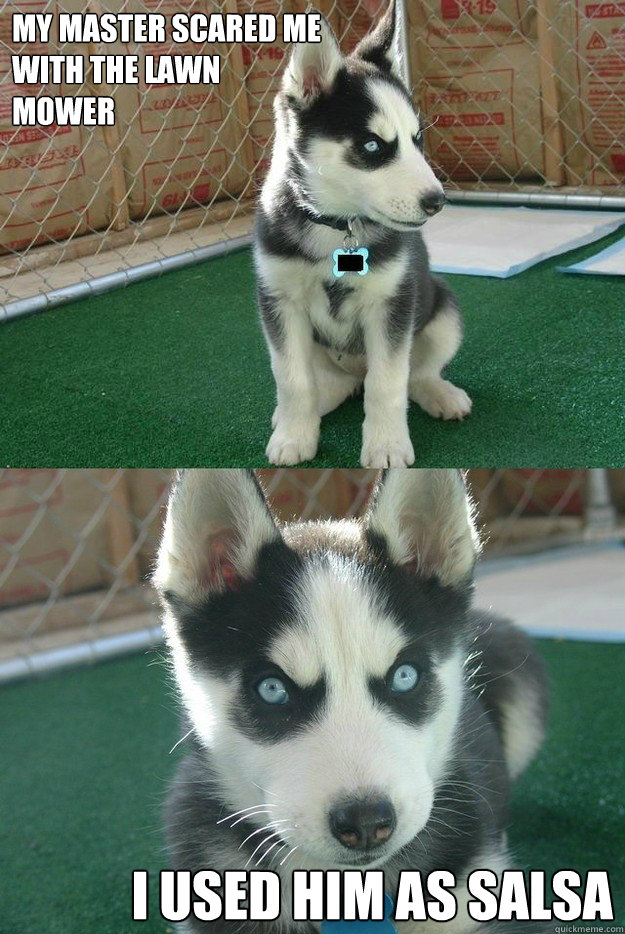 My master scared me with the lawn mower I used him as salsa   Insanity puppy