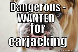 DANGEROUS - WANTED   FOR CARJACKING Misc