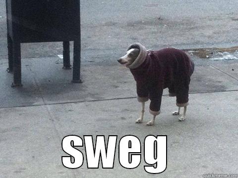  SWEG Misc