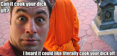 I heard it could like literally cook your dick off. Can it cook your dick off? - I heard it could like literally cook your dick off. Can it cook your dick off?  Joe Rogan