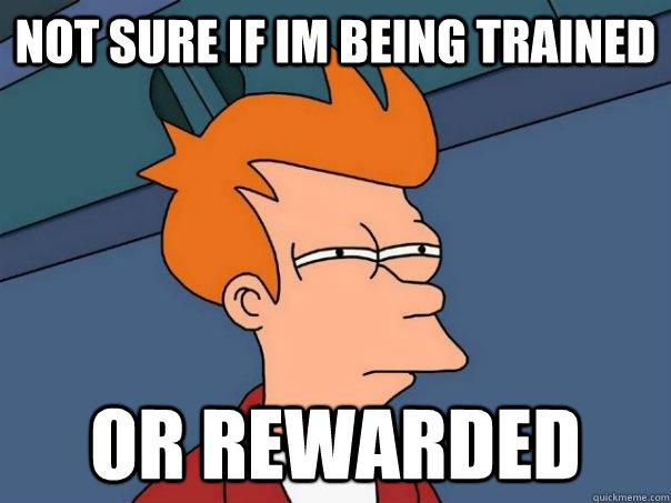 Not sure if im being trained or rewarded - Not sure if im being trained or rewarded  Futurama Fry