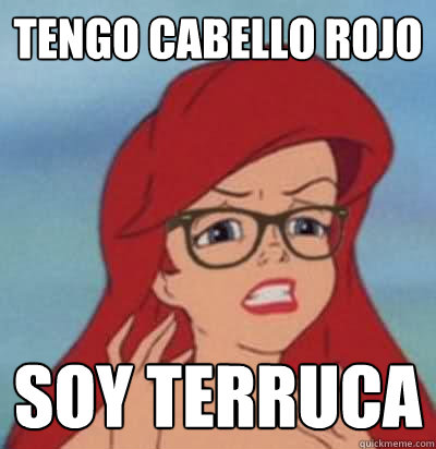 TEngo cabello rojo soy terruca   Hipster Ariel