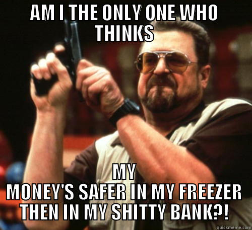 AM I THE ONLY ONE WHO THINKS MY MONEY'S SAFER IN MY FREEZER THEN IN MY SHITTY BANK?! Am I The Only One Around Here