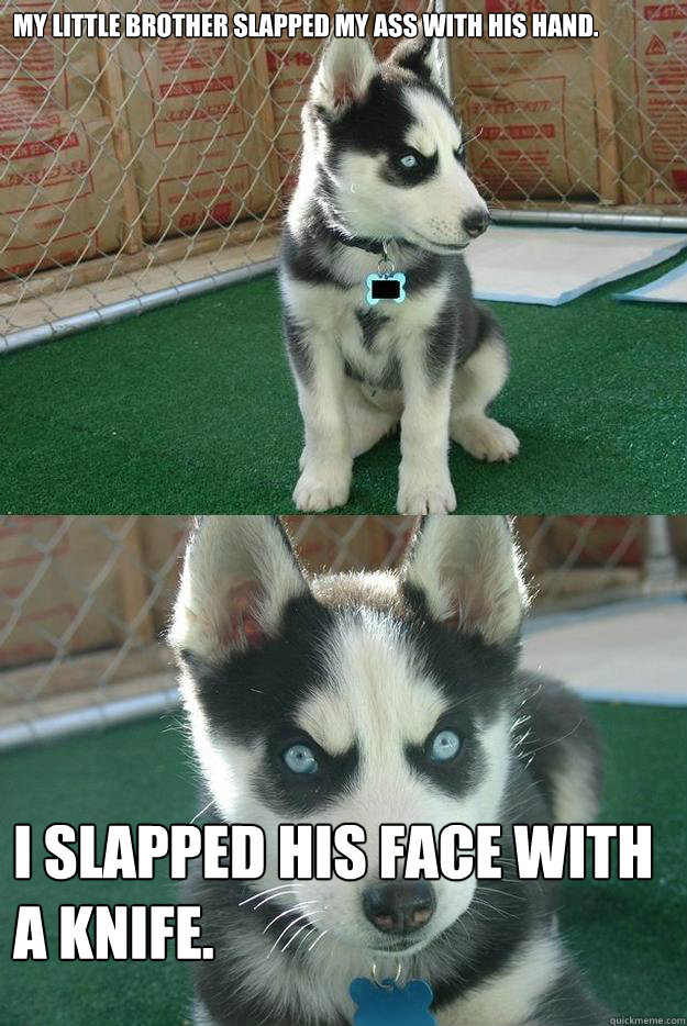 My little brother slapped my ass with his hand. I slapped his face with                 a knife.  Insanity puppy